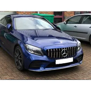 Panamericana GT voorgrille (voor Avantgarde/AMG-Line/C43 AMG)