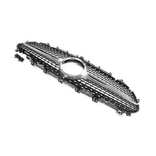 Voorgrille (Diamond Silver) foto 4