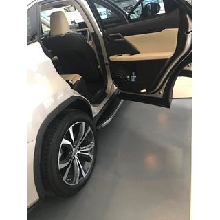 Zijsteps BlackLine (2 stuks) Lexus RX 2016–2022 foto 2