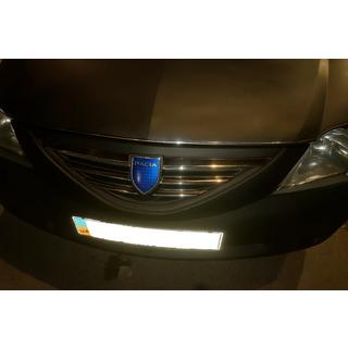 RVS sierlijsten voor radiateurgrille