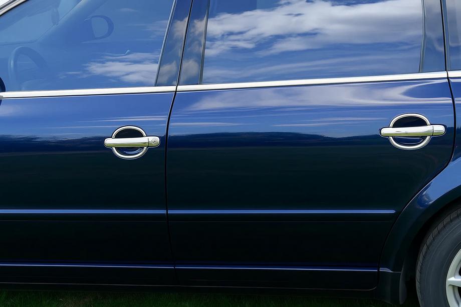 Volkswagen Golf 5 2003–2009 Deurgreepschalen (4 st., RVS) Image