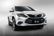 Hybride zevenzits crossover BYD Tang 100 foto 5