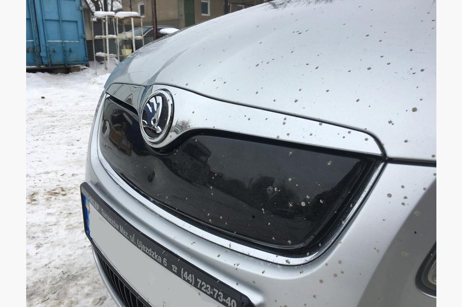 Skoda Fabia 2007–2014 Winterafdekking voor radiatorrooster (2007-2010, bovenste) Mat Foto 3