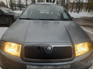 Skoda Fabia 2000–2007 Winterafdekking voor de grille foto 1