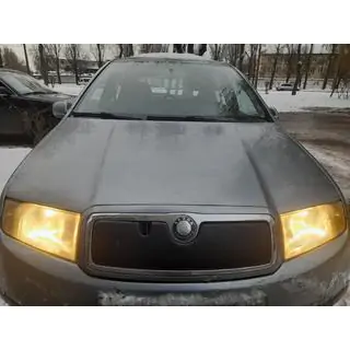 Winterafdekking voor de grille