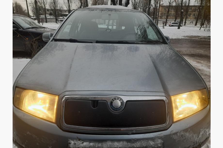 Skoda Fabia 2000–2007 Winterafdekking voor de grille Image