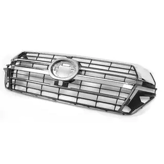 Radiateurgrille 2016-2021 (design 2019) foto 1