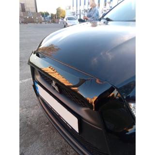 Motorkapdeflector (HIC) foto 1