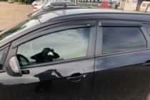 Opel Astra J 2009–2015 Raamwindschermen HB (set 4 stuks, HIC) foto 7