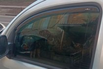 Renault Kangoo 2008–2020 Insteek raamwindschermen (2 st., HIC) foto 9