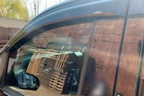 Mercedes Vito/V-klasse W447 2014– Raamwindschermen (2 st., HIC) foto 11