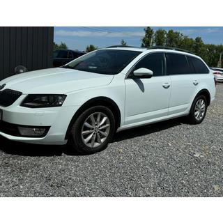 Wielkastlijsten SW 2013-2016 (4 stuks, zwart ABS) Skoda Octavia III A7 2013–2019 foto 4