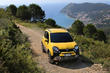 Offroad-modificatie van de hatchback Fiat Panda Cross foto 8