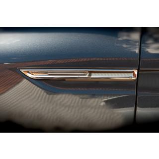 Richtingaanwijzer kapjes 2016-2020 (2 st., RVS) Renault Megane IV 2016–2025 foto 2