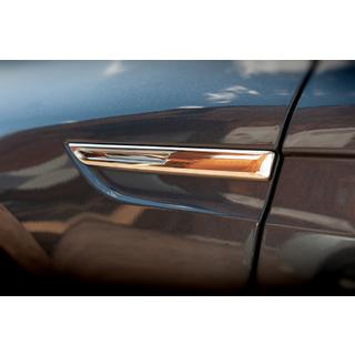 Richtingaanwijzer kapjes 2016-2020 (2 st., RVS) Renault Megane IV 2016–2025 foto 3