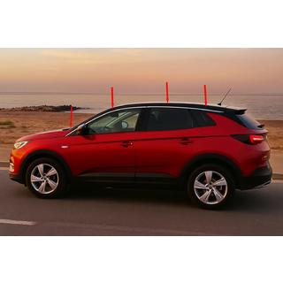Bovenste raamlijsten (8 stuks, RVS) Opel Grandland X 2017– foto 1