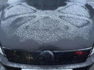 Volkswagen Passat B7 2012–2015 Wintergrille (EU/USA) foto 1
