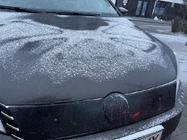Volkswagen Passat B7 2012–2015 Wintergrille (EU/USA) foto 3