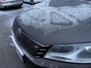 Volkswagen Passat B7 2012–2015 Wintergrille (EU/USA) foto 4