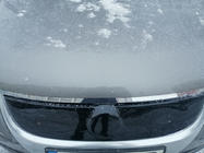 Volkswagen Touran 2003–2010 Winterrooster (boven, 2006-2010) Glanz foto 2