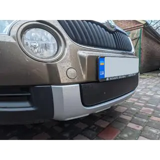 Winterafdekking voor grille (onder, 2009-2013) foto 3
