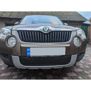 Winterafdekking voor grille (onder, 2009-2013)