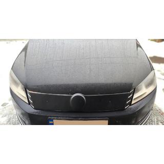 Wintergrille (2001-2005)