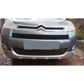 Wintergrille (2008-2012)
