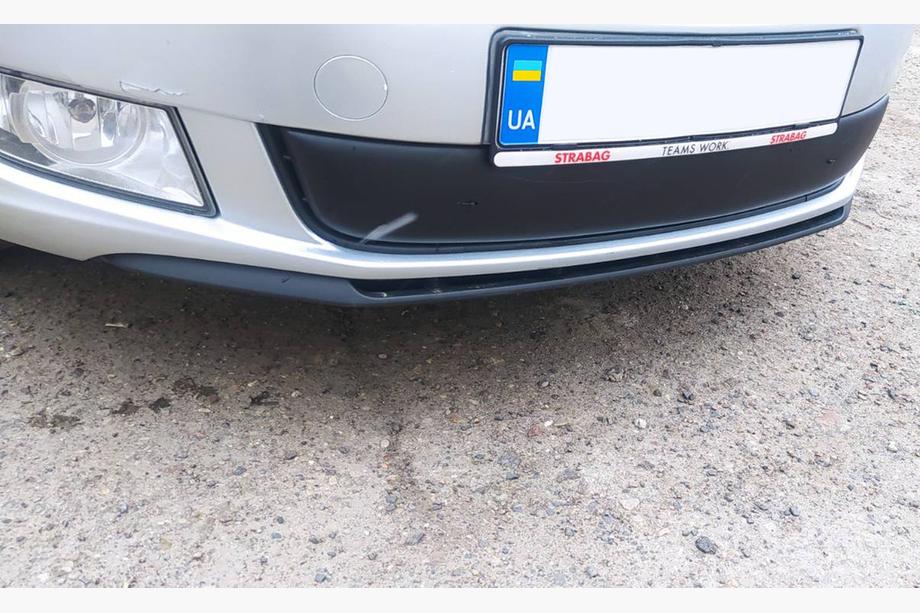 Skoda Fabia 2007–2014 Winterafdekking voor radiatorgrille (2011-2014, onder) Glanz Foto 2