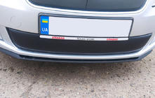 Skoda Roomster 2006–2015 Winterafdekking voor radiatorgrille (2011-2014, onder) Glanz foto 1
