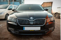 Skoda Superb 2015–2024 Winterafdekking voor grille (2015-2019, onder) Mat foto 1