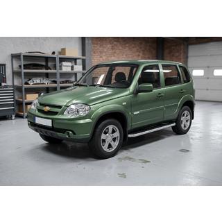 Side steps Tayga Grey (set van 2, aluminium) foto 1