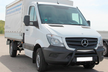 Mercedes Sprinter W906 2006–2018 Bullbar WT003 (zwart) foto 3
