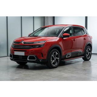 Side steps Maya Red (2 stuks, aluminium) Citroen C5 Aircross 2017–2025 foto 1