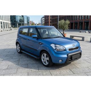 Maya Blue sidesteps (2 stuks, aluminium) foto 1