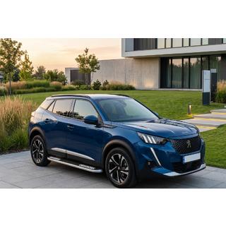 Tayga V2 side steps (2 stuks, aluminium) Peugeot 3008 2016–2023 foto 1