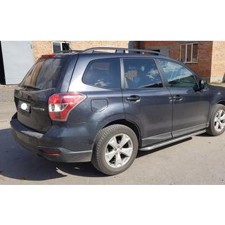 Premium side steps (2 st., RVS) foto 1