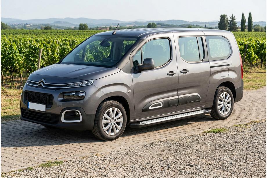 Citroen Berlingo/Multispace 2018– Side steps Allmond Grey (2 stuks, aluminium) Image
