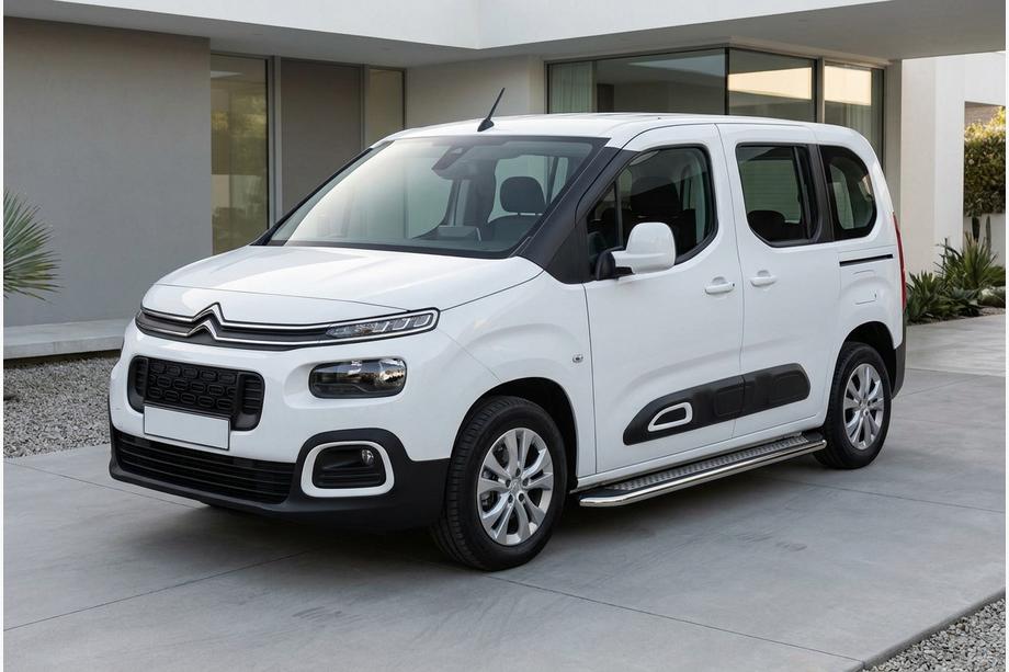 Citroen Berlingo/Multispace 2018– Zijtreden Maydos V2 (2 st., aluminium/RVS) Image