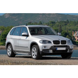Rainbow side steps (2 stuks, aluminium) BMW X5 E70 2007–2013 foto 1
