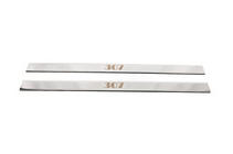 Peugeot 307 2001–2008 Carmos instaplijsten (2 stuks, RVS) foto 2