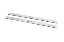 Peugeot 307 2001–2008 Carmos instaplijsten (2 stuks, RVS) foto 1
