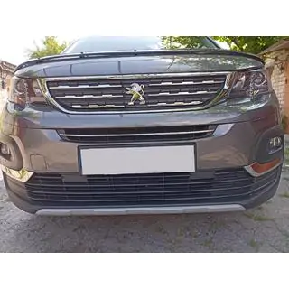 RVS grille sierlijsten foto 2