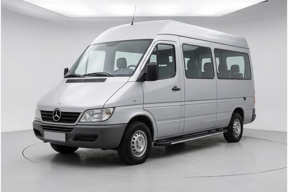 Mercedes Sprinter W901/902/903/904/905 1995–2006 Bosphorus Grey zijsteps (set van 2, aluminium) Image