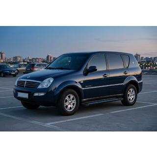 Maya Blue zijtreden (2 stuks, aluminium) SsangYong Rexton I 2001–2017 foto 1