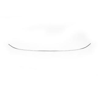 Bovenste bumperstrip (2019+, 1 st, RVS) foto 2