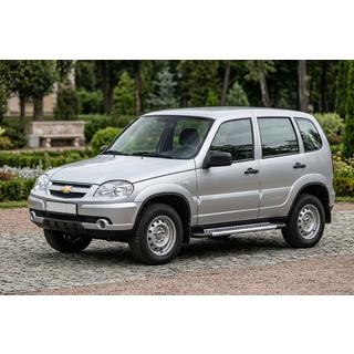 Side steps New Vision Grey (2 stuks, aluminium) foto 1