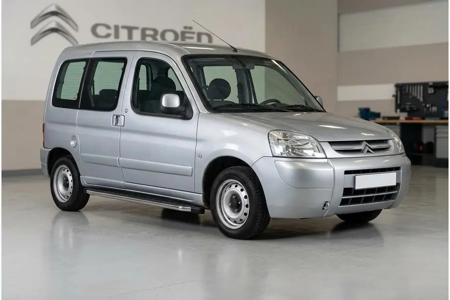 Citroen Berlingo 1996–2008 BlackLine zijsteps (2 stuks, aluminium) Image