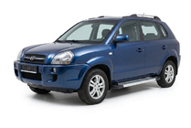 Hyundai Tucson JM 2004– Side steps New Vision Grey (2 stuks, aluminium) foto 1