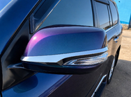 Lexus GX460 2009–2023 Spiegelstrips (set van 2, chroom) foto 2
